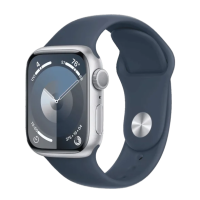 Смарт-годинник Apple Watch Series 9 GPS + Cellular 41mm Silver S. Steel Case w. Storm Blue Sport Band - S/M (MRJ23)