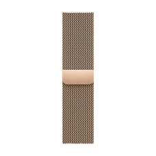 Смарт-годинник Apple Watch Series 9 GPS + Cellular 45mm Gold S. Steel Case w. Gold Milanese Loop (MRMU3)