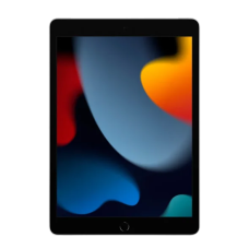 Планшет Apple iPad 10.2 2021 Wi-Fi + Cellular 256GB Silver (MK6A3, MK4H3)