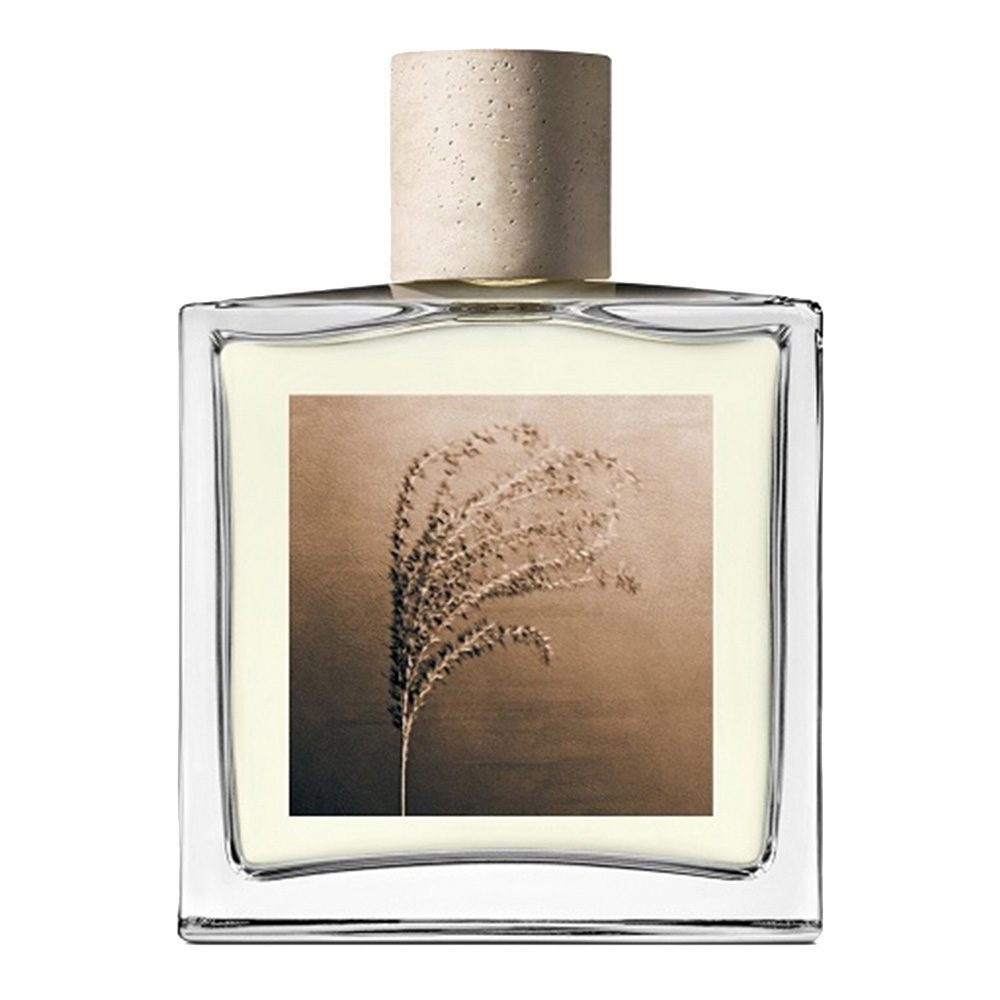AllSaints Leather Skies 100 ml