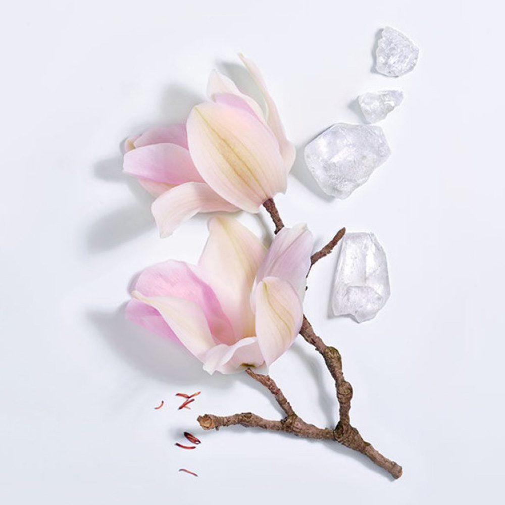Lancome Maison Lancome Magnolia Rosae 100 ml