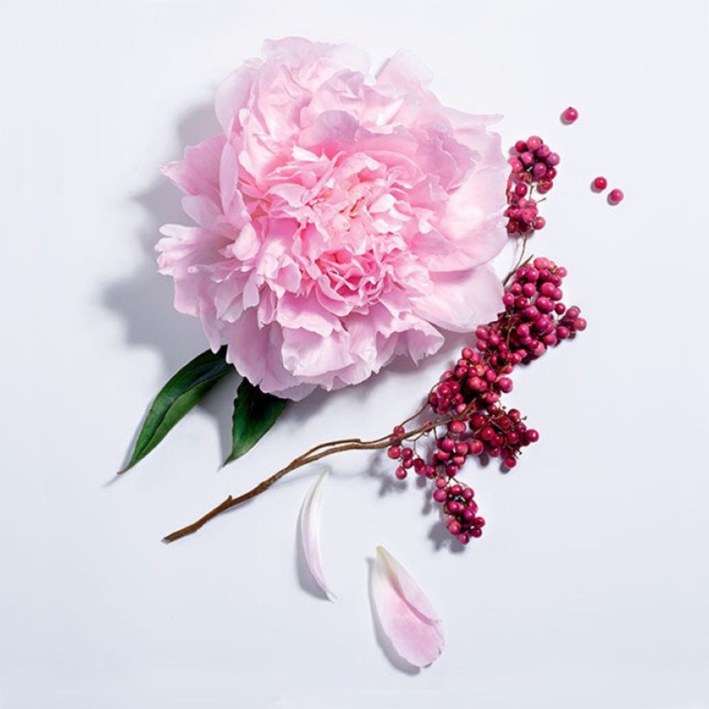 Lancome Maison Lancome Pivoines Printemps 100 ml
