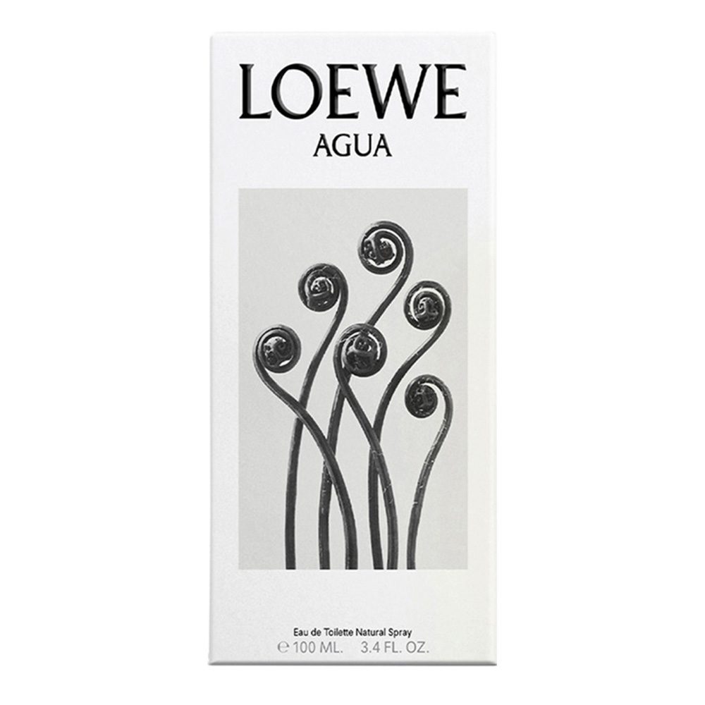 Loewe Agua 100 ml