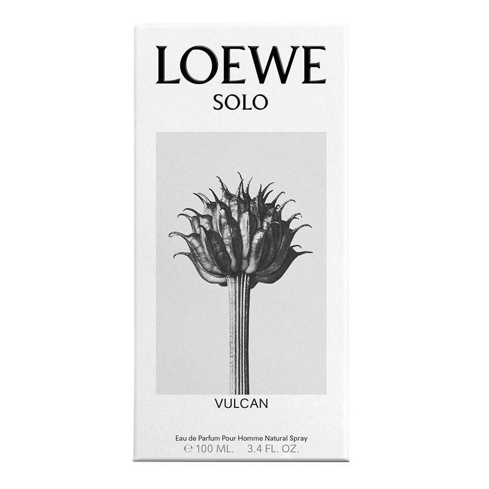 Loewe Solo Vulcan 100 ml