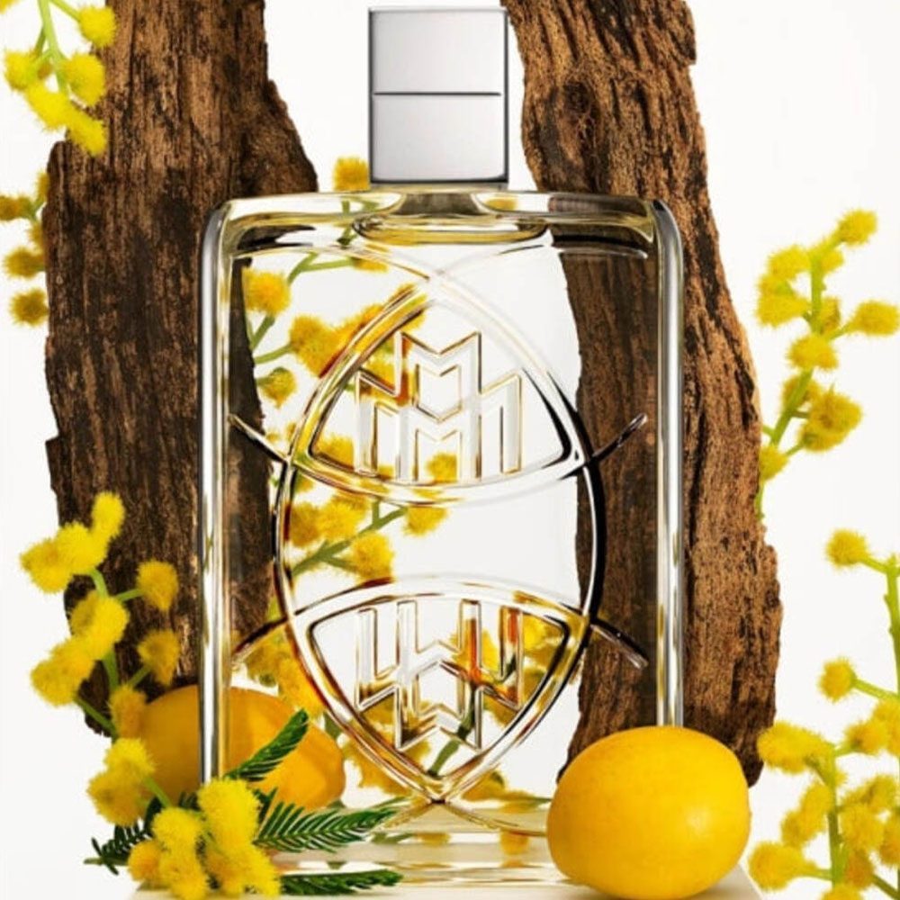 Maybach Fascinating Oud 100 ml